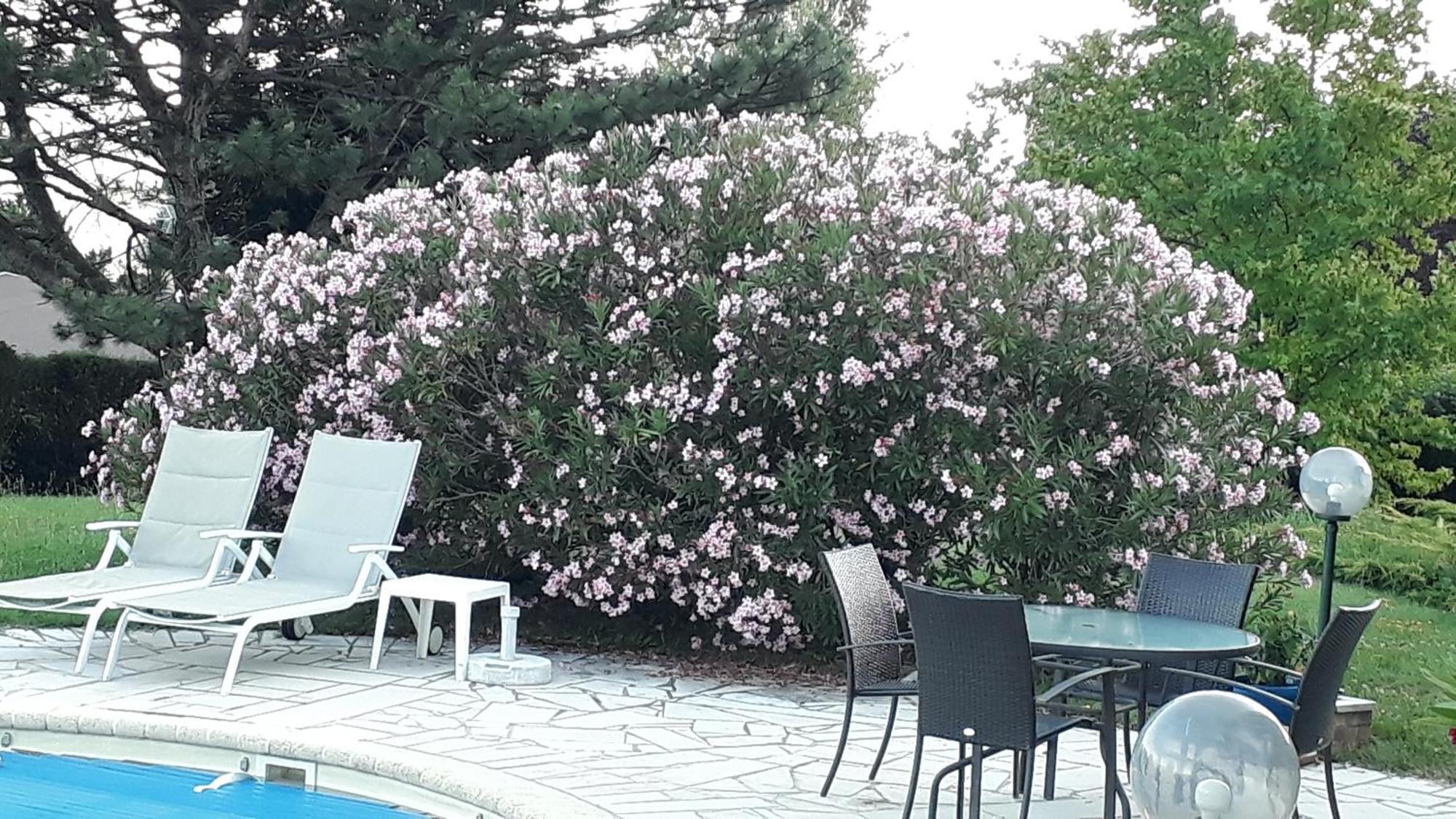 Villa Avec Vue Biviers Exteriör bild